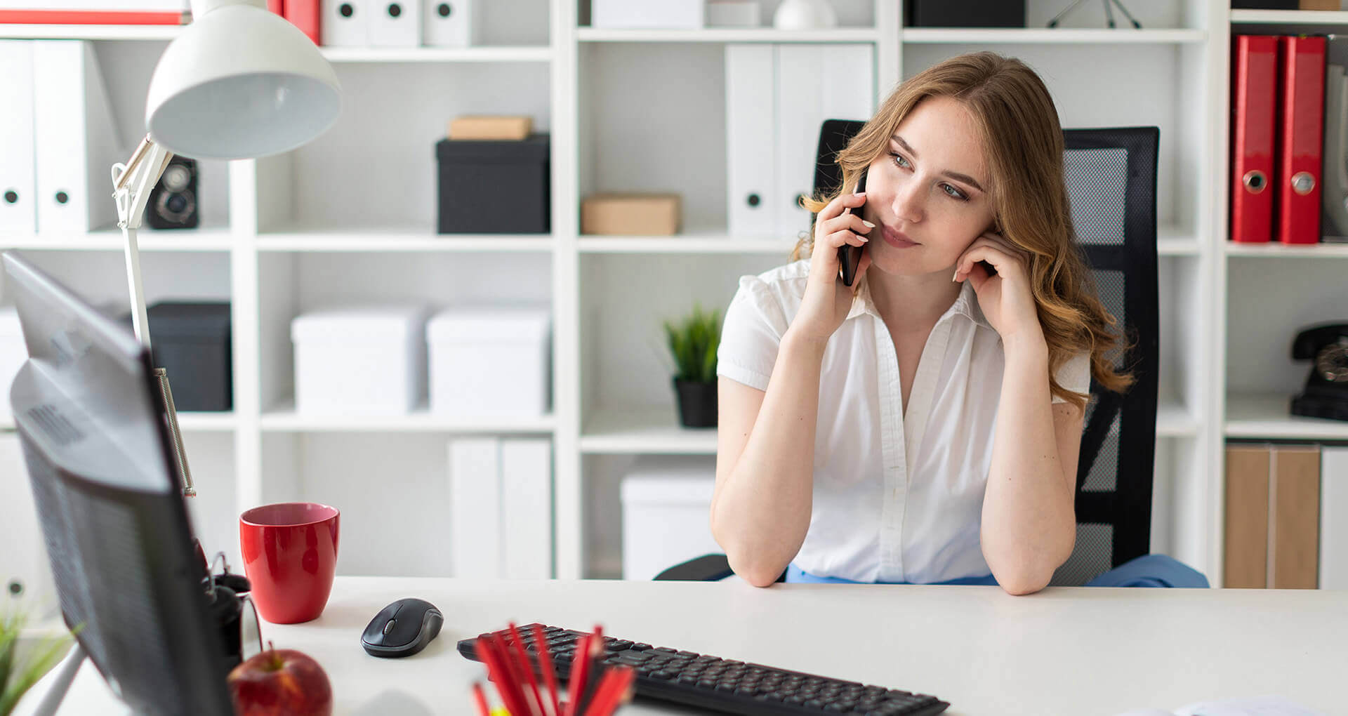 Mali müşavirlik, Danışmanlık ve Denetim hizmetleri 